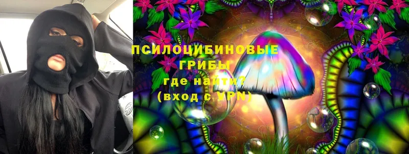 Галлюциногенные грибы Magic Shrooms  Кирс 